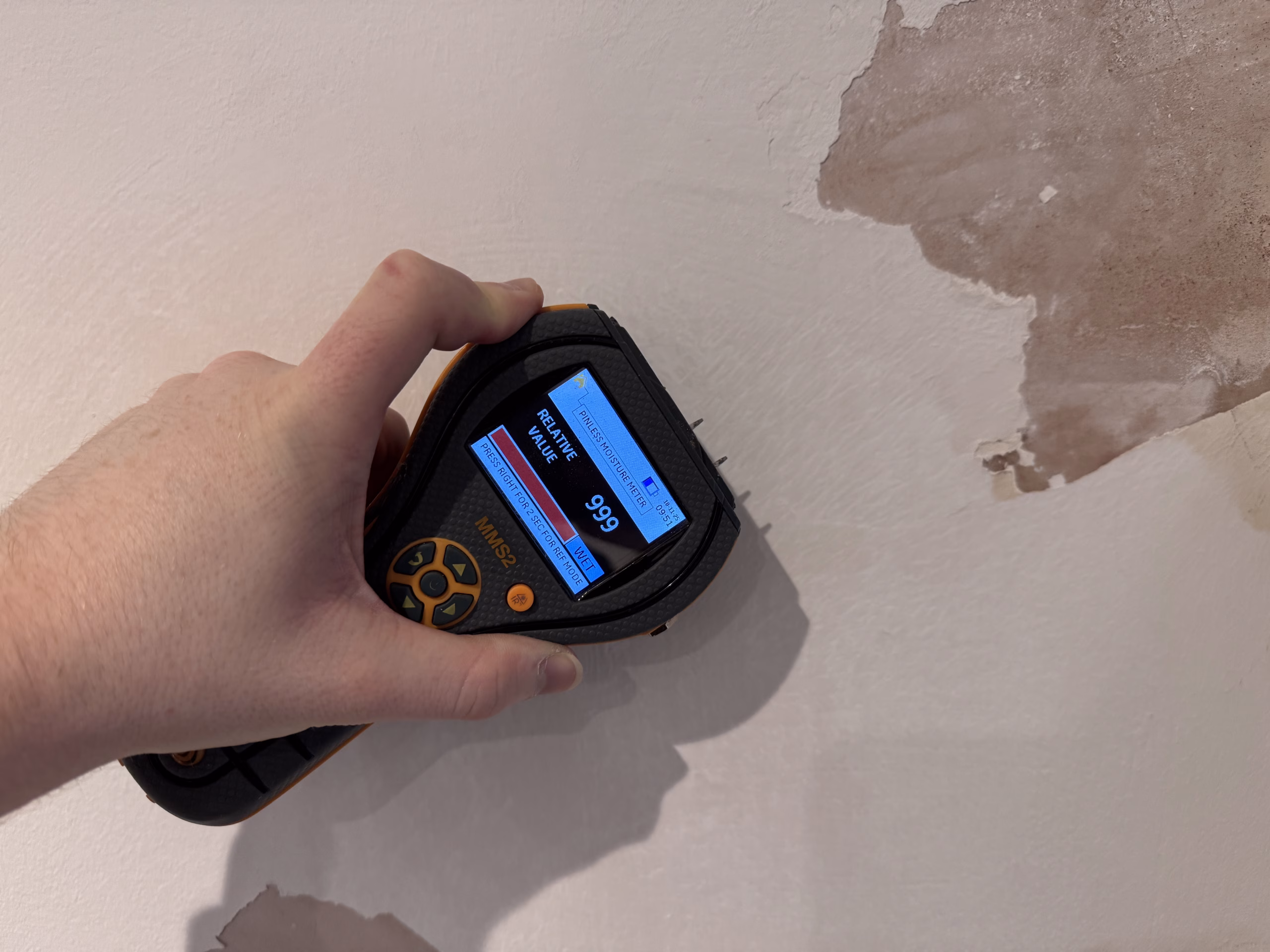 Find & Fix Damp