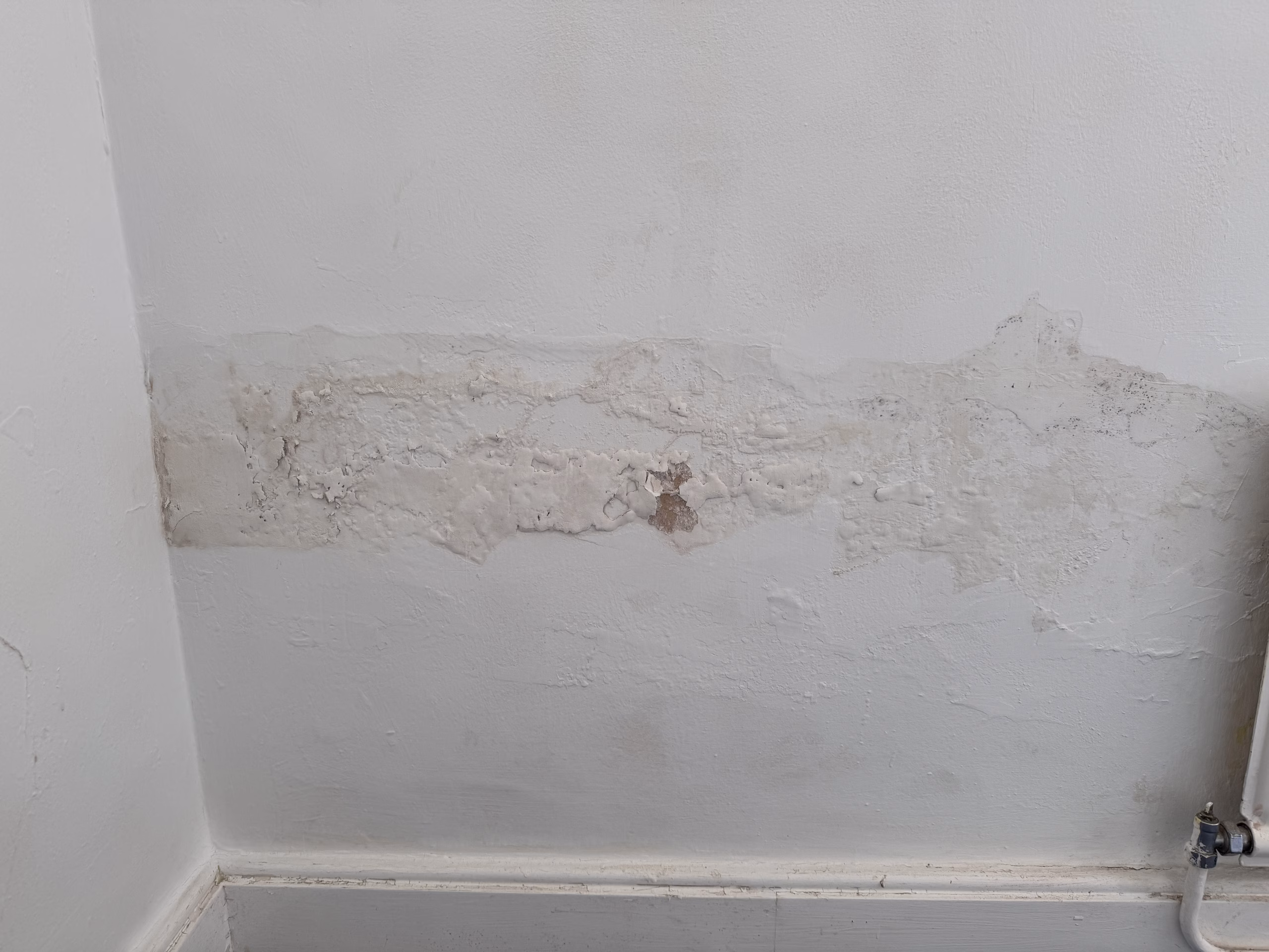 Damp Example