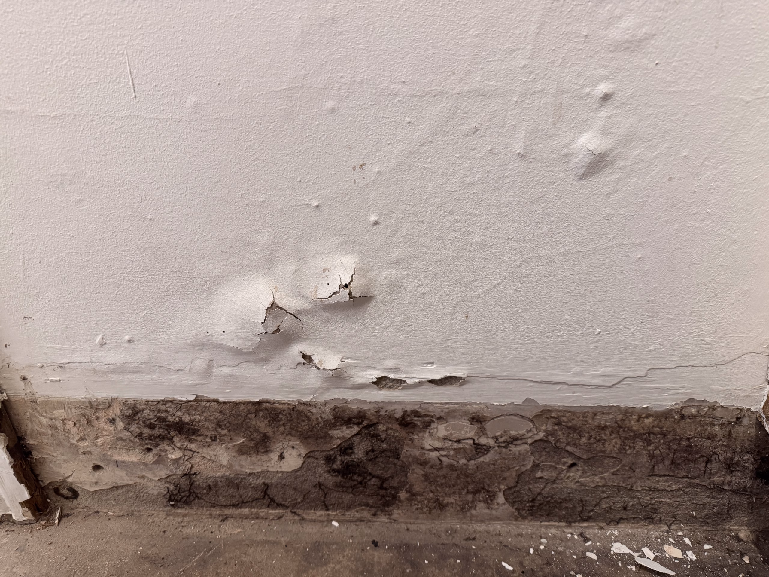 Damp Example