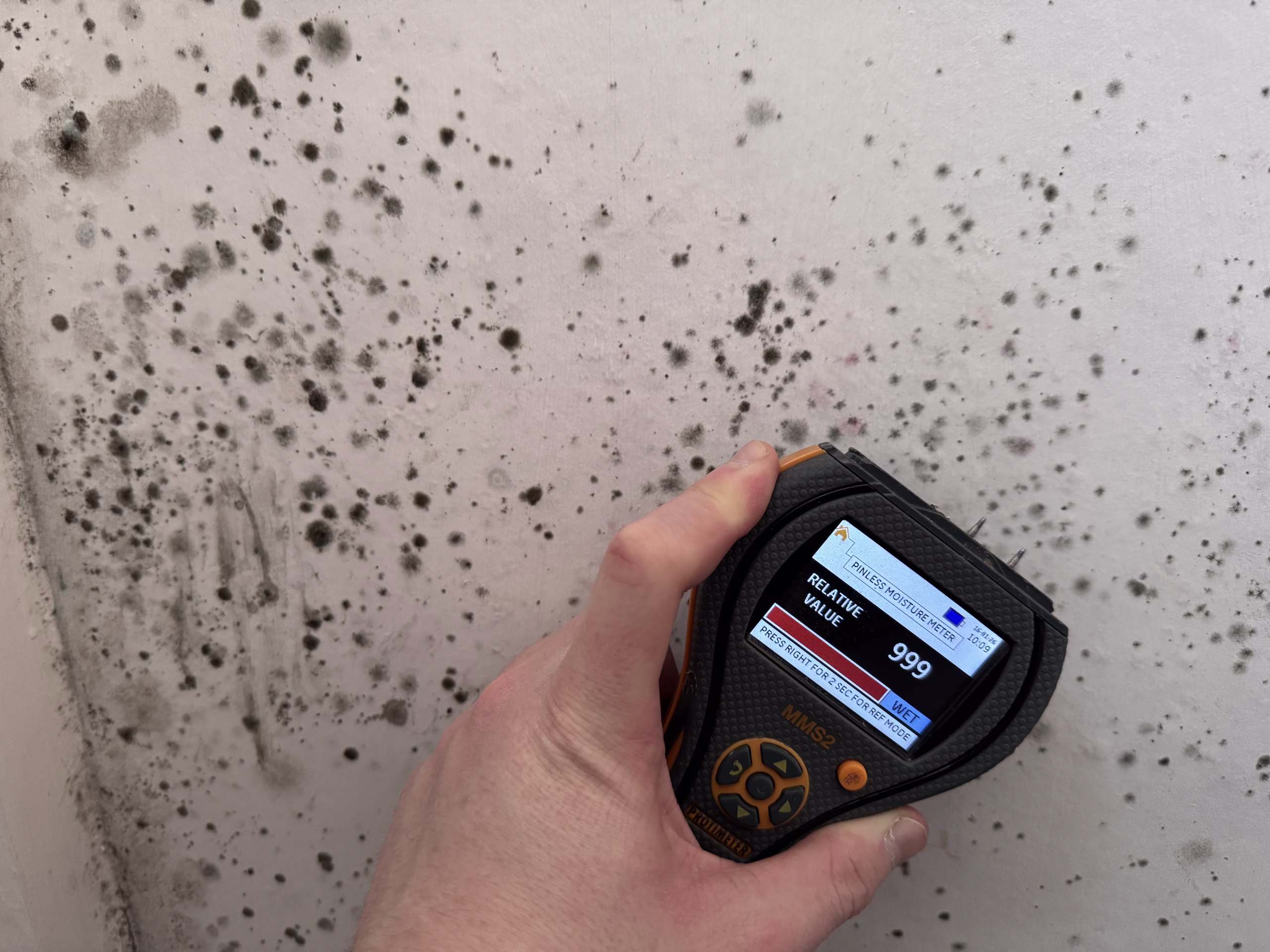Find & Fix Mould