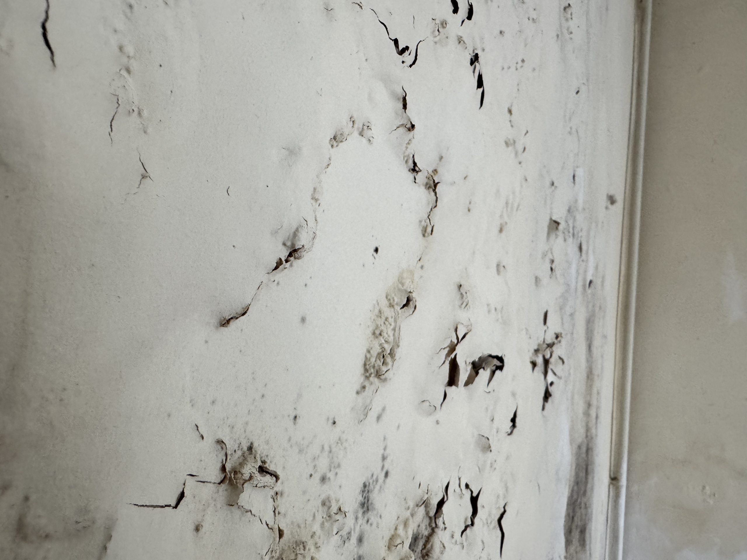 Damp Example