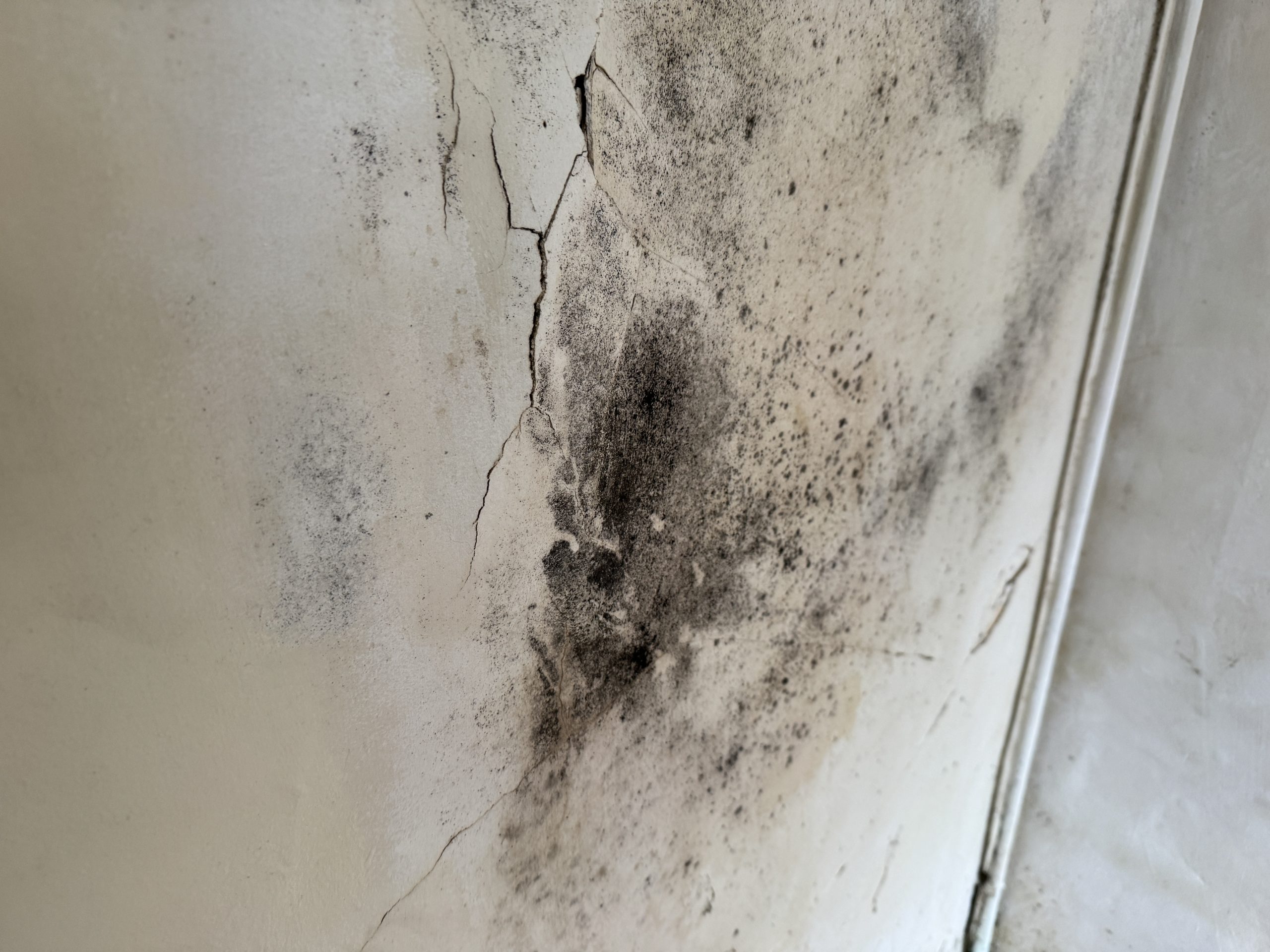 Mould Example